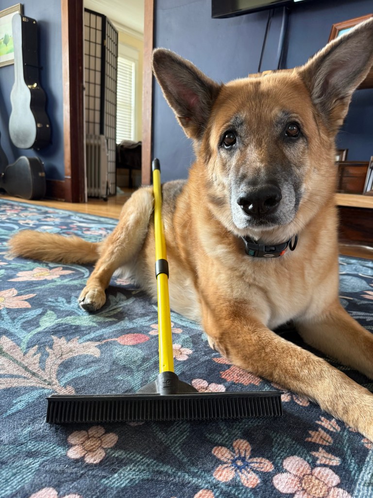 FURemover Original Pet Hair Rubber Broom with Squeegee, with 58" Telescopic Handle for Carpet, Tile and Hardwood